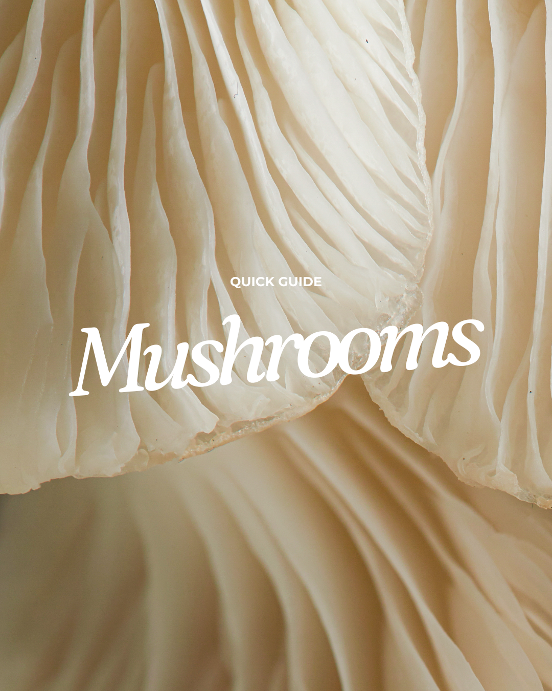 mushroom gils